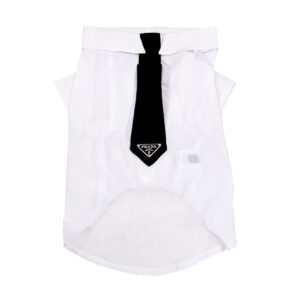 Pawda Formal Wear