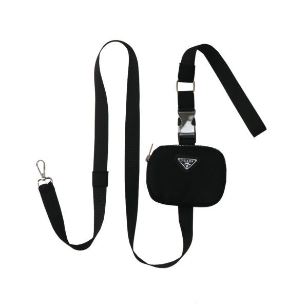 All in One Leash and Mini Bag