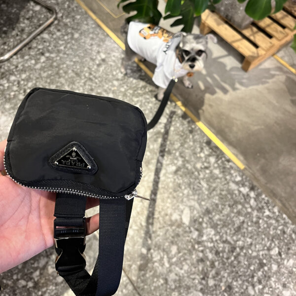All in One Leash and Mini Bag - Image 5