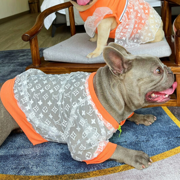 Neon Mesh Jacket - Image 6