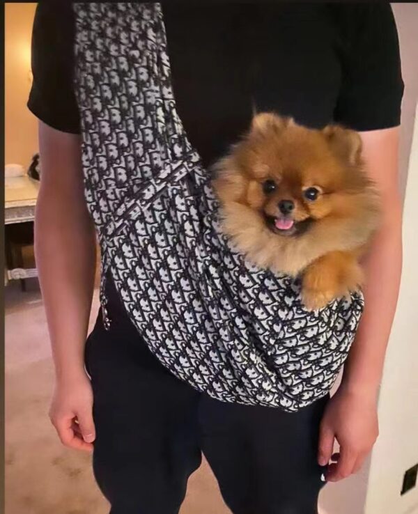 Dog Sling Carrier - Image 10
