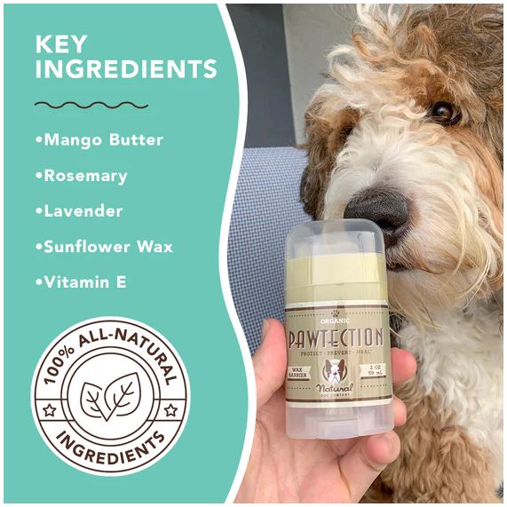 PAWTECTION - Image 6