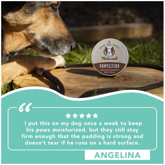 PAWTECTION - Image 8