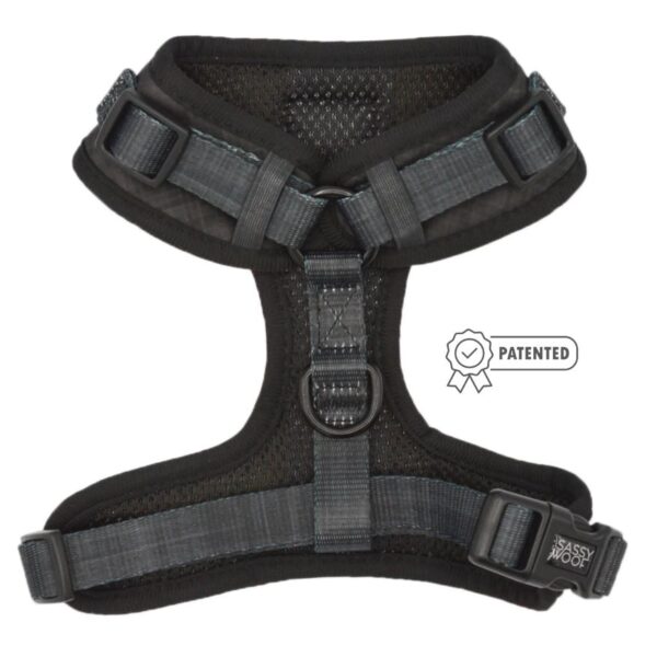 'Baby got Black' Adjustable Dog Harness - Image 3
