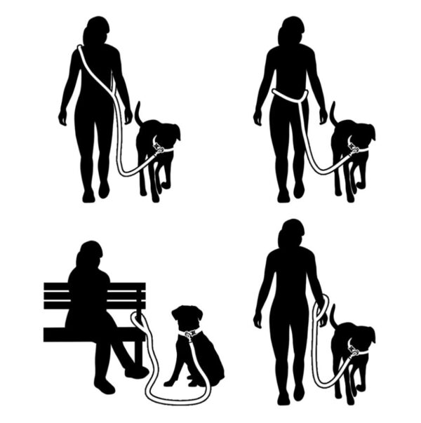 Hands-Free Dog Rope Leash - Le Cafe - Image 4