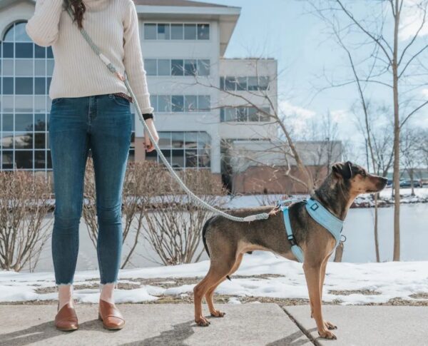 Hands-Free Dog Rope Leash - Clouds - Image 5