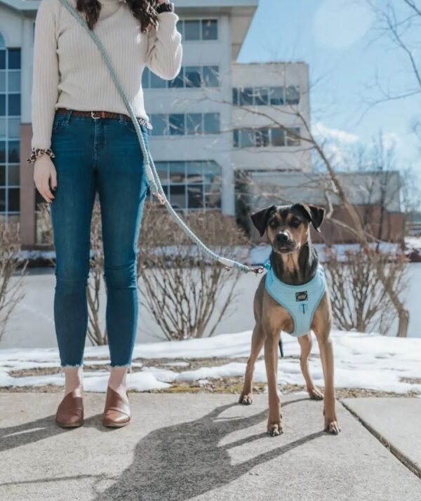 Hands-Free Dog Rope Leash - Clouds - Image 6