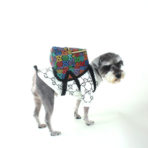 Rainbow Star Backpack Harness-in-One - Image 7