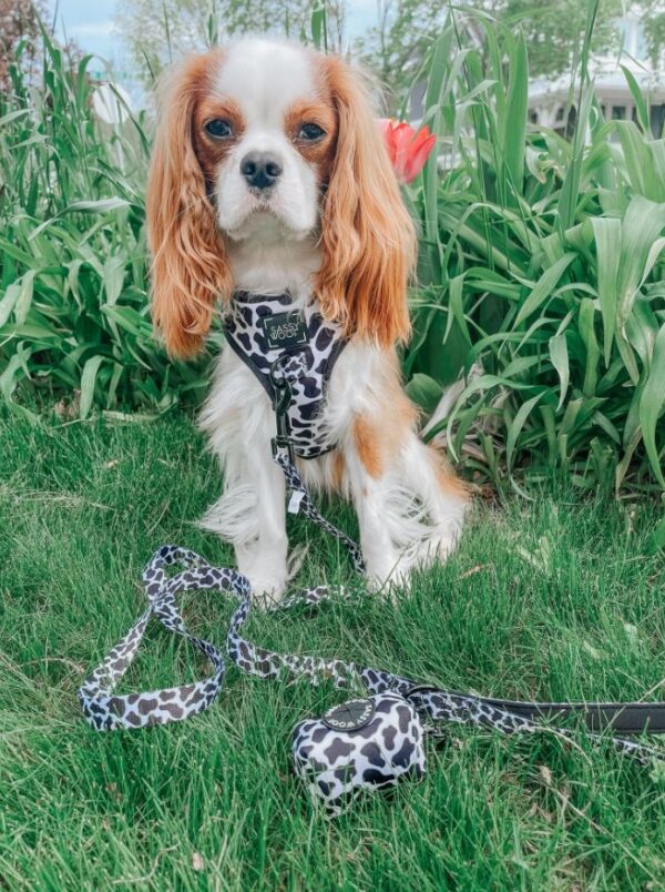 'Got Milk?' Adjustable Dog Harness - Image 9