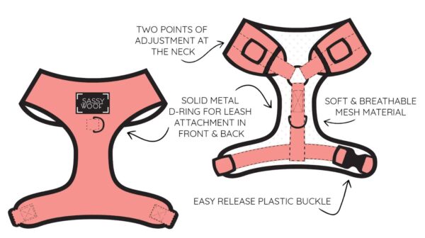 'Verano' Adjustable Dog Harness - Image 7