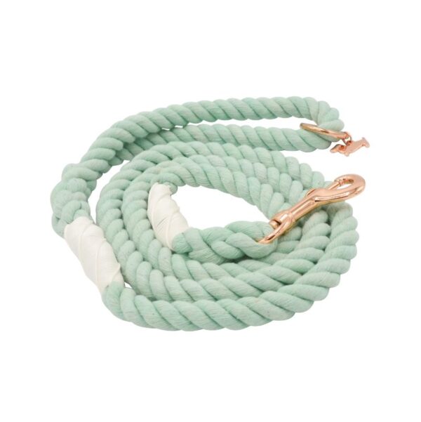 Dog Rope Leash - Mint to Be - Image 3