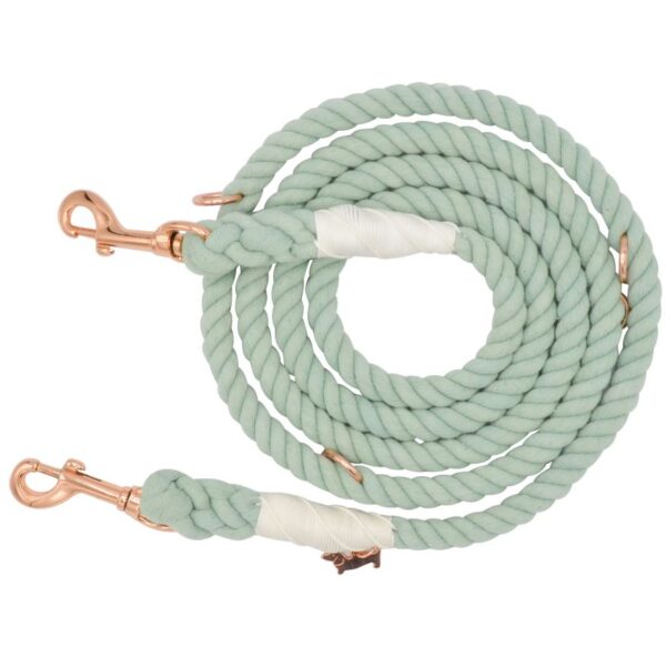 Hands-Free Dog Rope Leash - Mint to Be