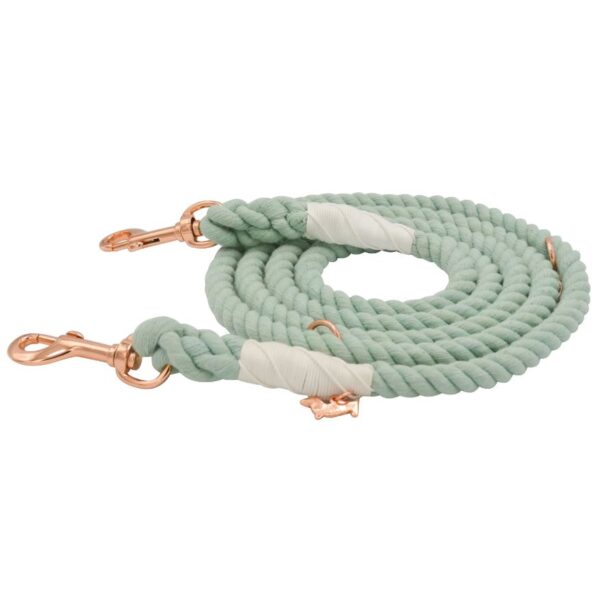Hands-Free Dog Rope Leash - Mint to Be - Image 3