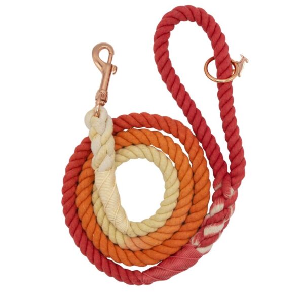 Dog Rope Leash - Sunrise