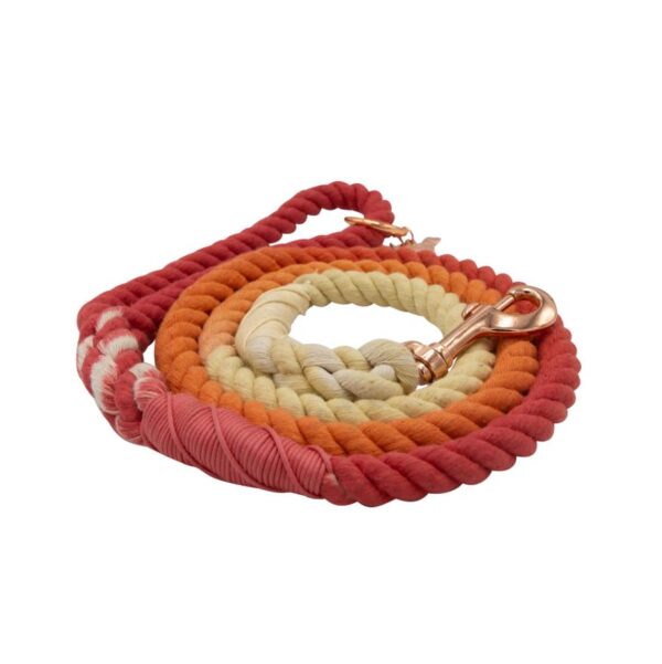 Dog Rope Leash - Sunrise - Image 3