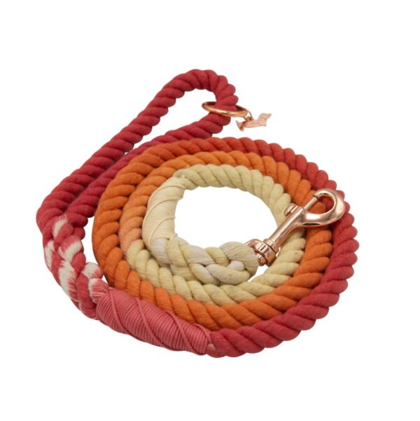 Dog Rope Leash - Sunrise - Image 4
