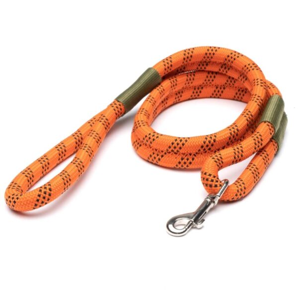 Out-of-Office Pet Carrier - Image 9