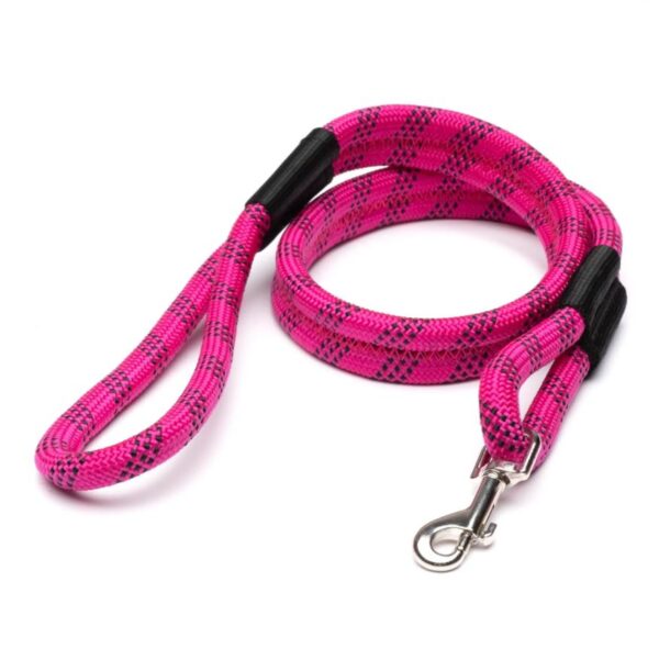 Out-of-Office Pet Carrier - Image 28