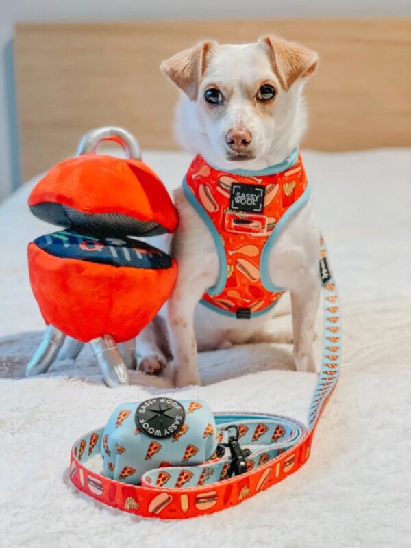 'One Hot Pupperoni' Reversible Dog Harness - Image 11