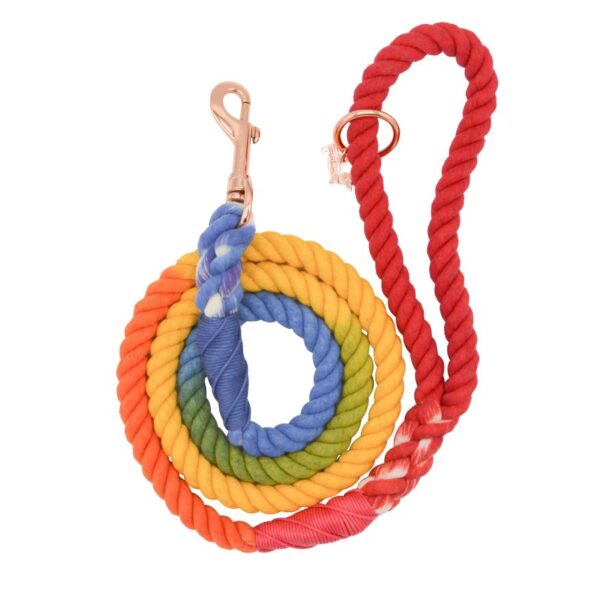 Dog Rope Leash - Taste the Rainbow