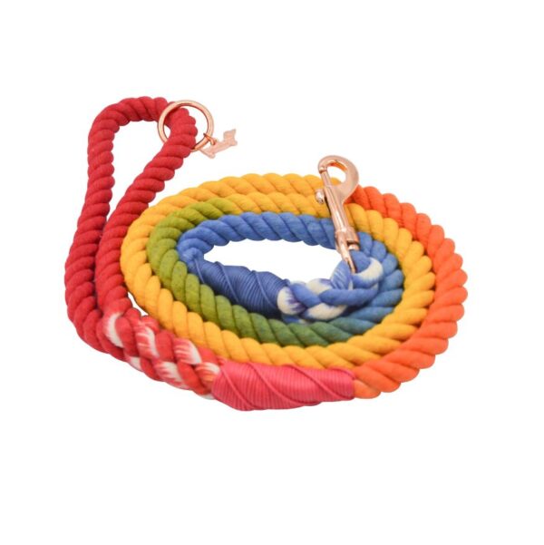 Dog Rope Leash - Taste the Rainbow - Image 3