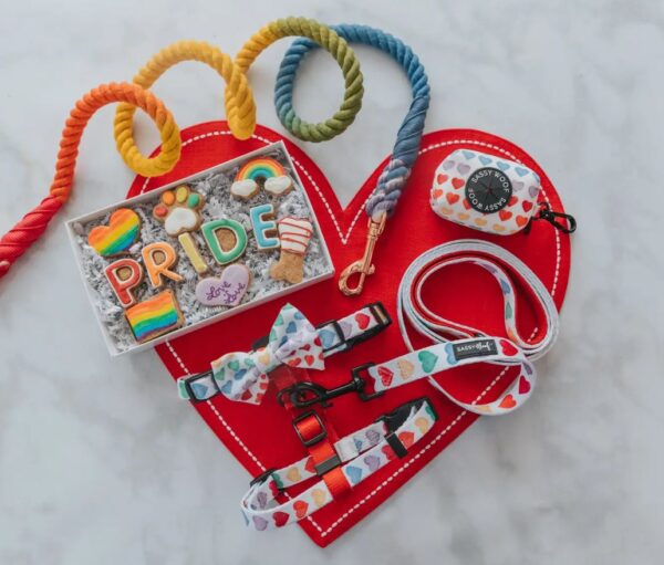 Dog Rope Leash - Taste the Rainbow - Image 5