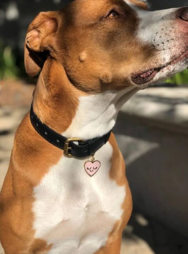 Smiling Heart Pet ID Tag - Image 6