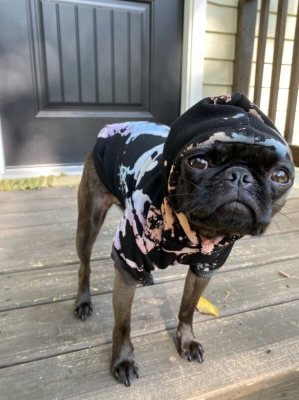 Space Dye Hoodie - Image 4
