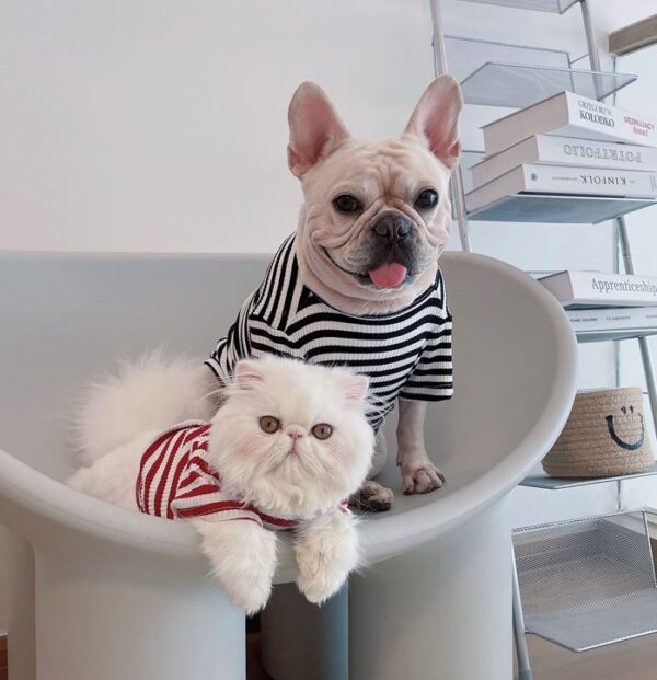 Striped Summer T-Shirt - Image 13
