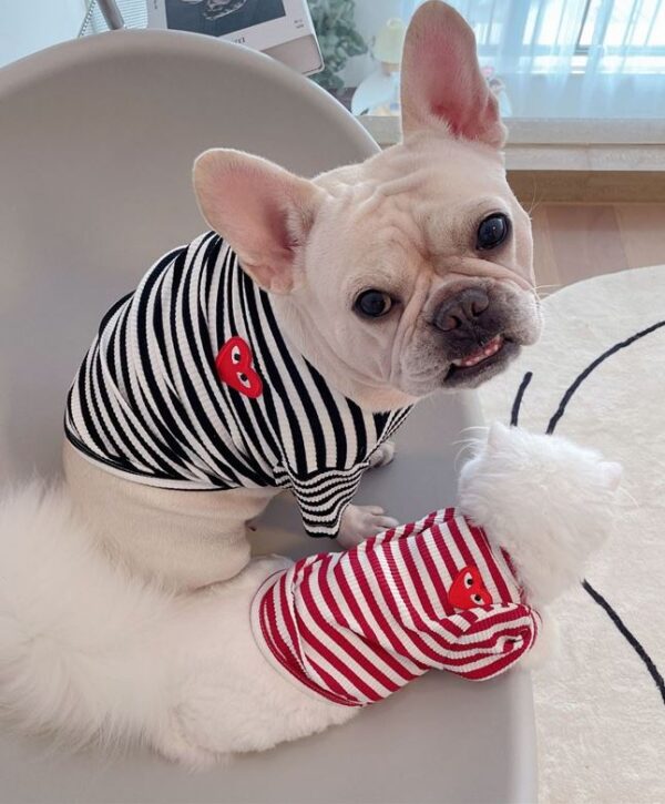 Striped Summer T-Shirt - Image 8