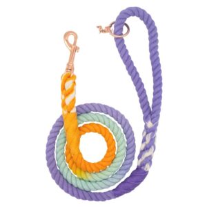 Dog Rope Leash - Sunset