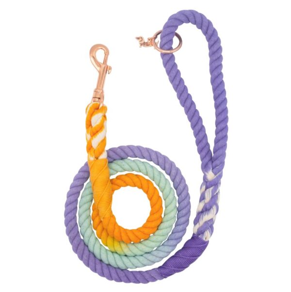Dog Rope Leash - Sunset