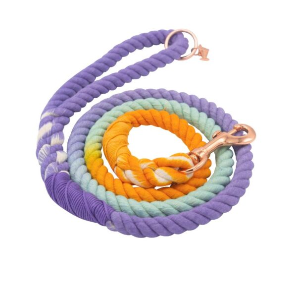 Dog Rope Leash - Sunset - Image 3