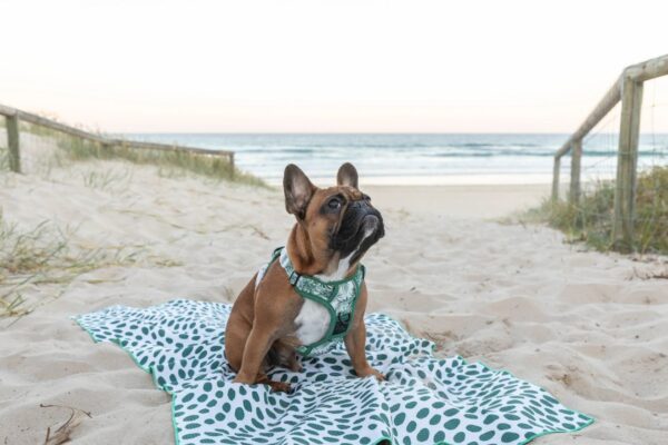 Beach Towel Lost In Paradise - Image 8