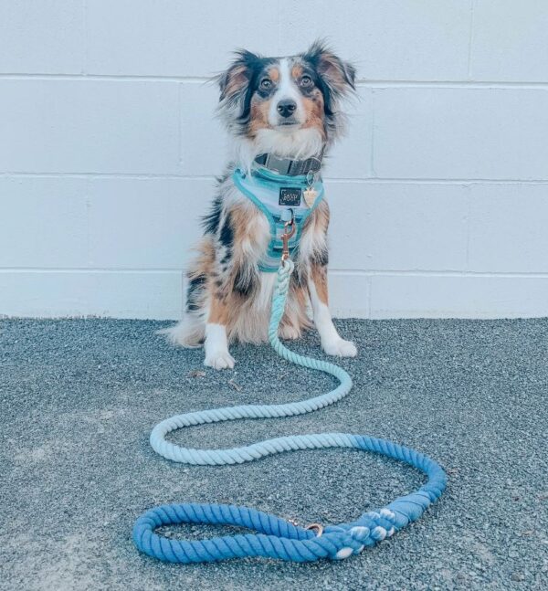 Dog Rope Leash - Tropic - Image 6