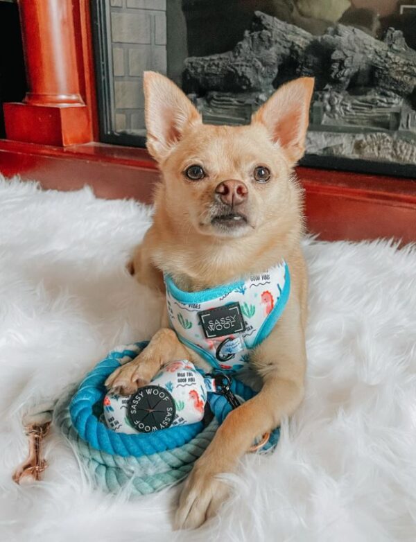 Dog Rope Leash - Tropic - Image 7