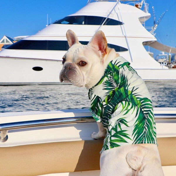 Vacay Shirt - Image 7
