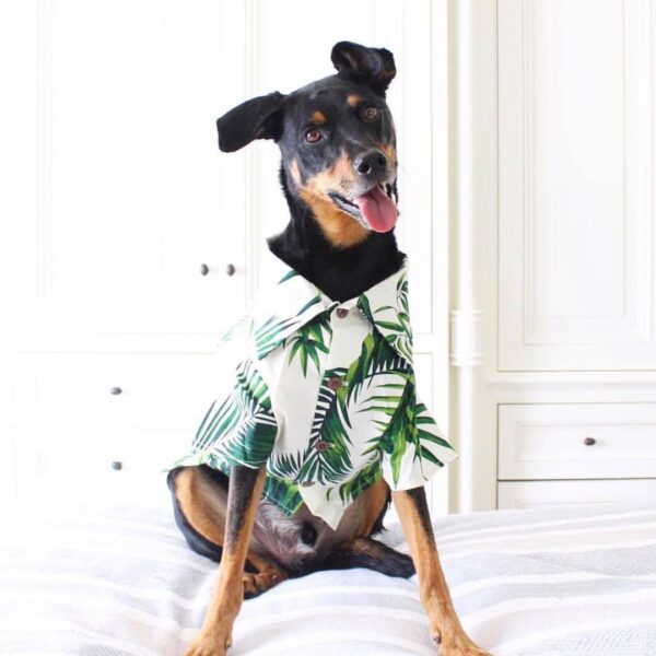 Vacay Shirt - Image 6