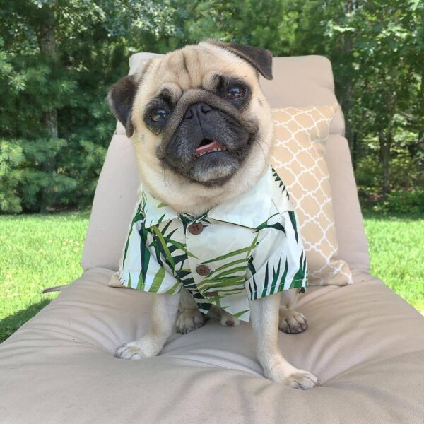 Vacay Shirt - Image 3