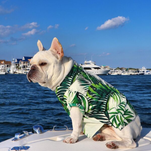 Vacay Shirt - Image 2
