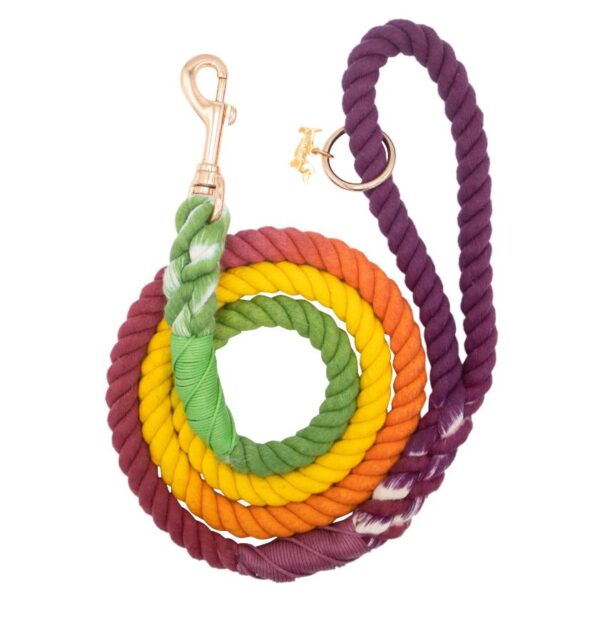 Dog Rope Leash - Vibrant Vibes