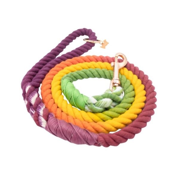 Dog Rope Leash - Vibrant Vibes - Image 3
