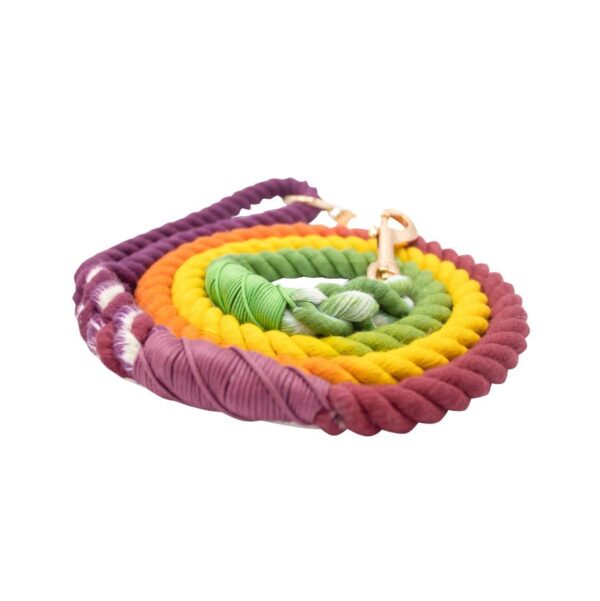 Dog Rope Leash - Vibrant Vibes - Image 4