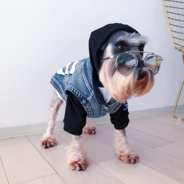 Jean Vest - Image 2
