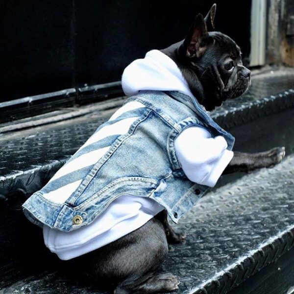 Jean Vest - Image 5