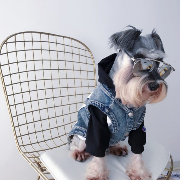 Jean Vest - Image 7