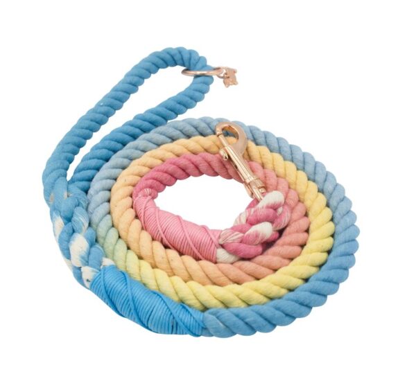 Dog Rope Leash - Bright - Image 3