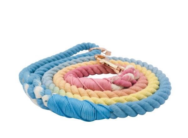 Dog Rope Leash - Bright - Image 4