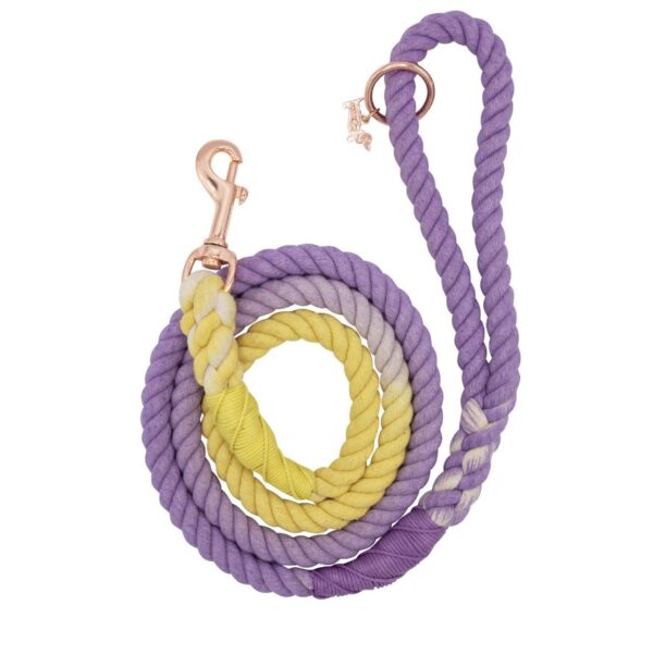 Dog Rope Leash - Dukes