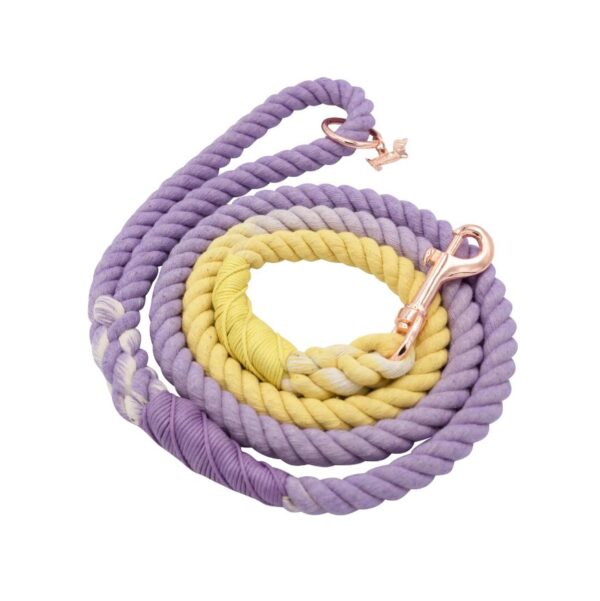 Dog Rope Leash - Dukes - Image 3
